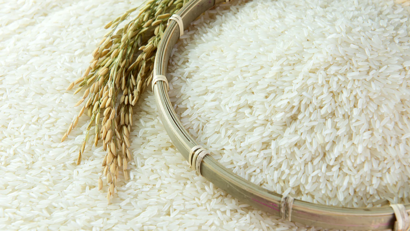 PR-106 Rice
